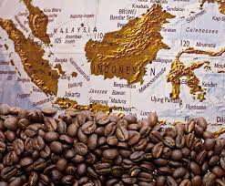 El café en indonesia