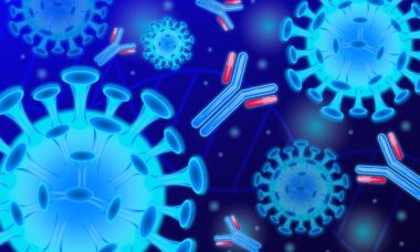 Infecciones bacterianas