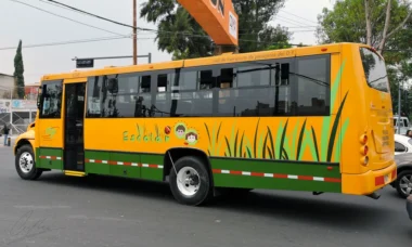 transporte escolare amarillo