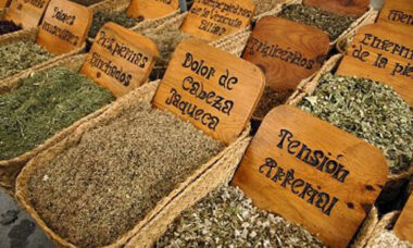 plantas medicinales