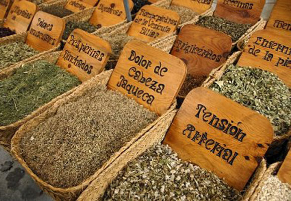 plantas medicinales