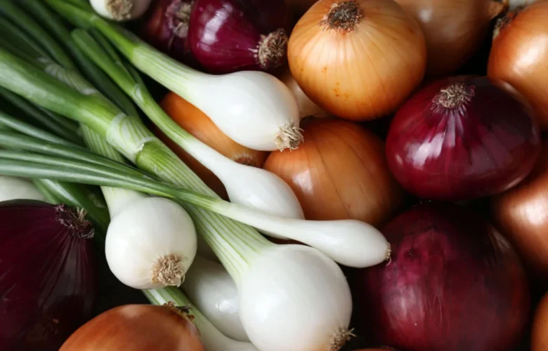 cebollas