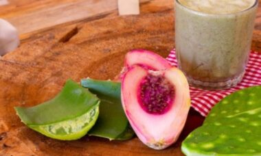 ensalada de xoconostle