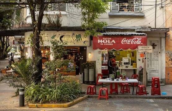 ruta de comida en la condesa